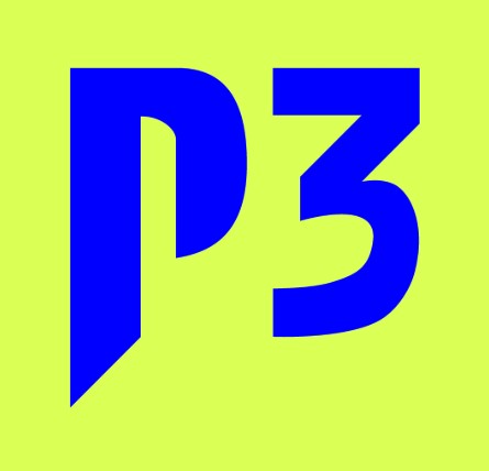 P3 Group Logo